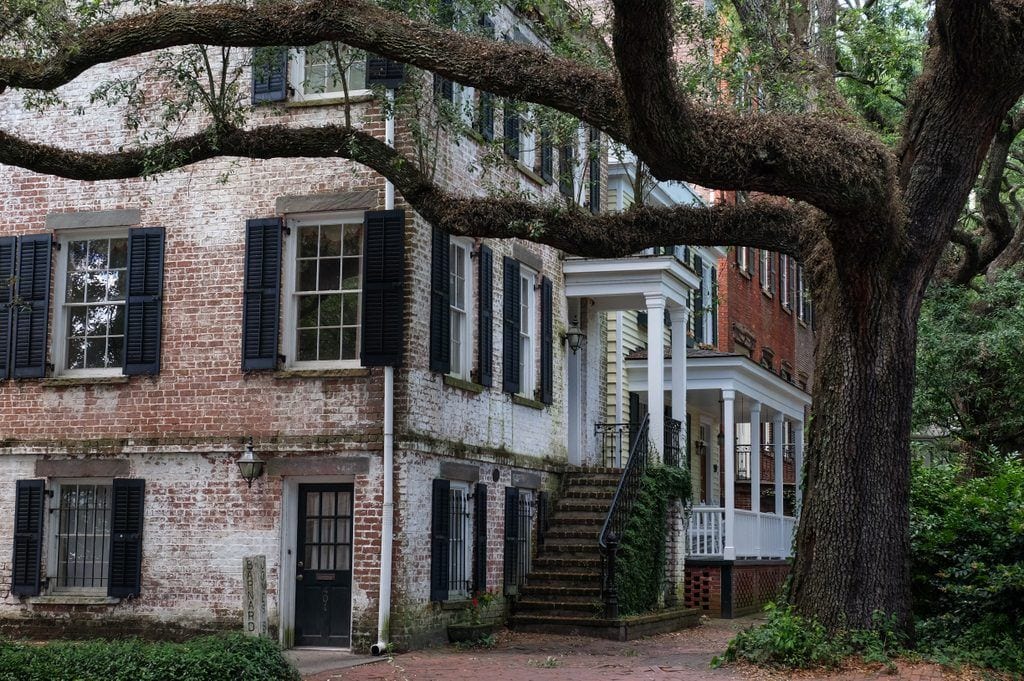 White brick houses in Savannah, Georgia, with a twisting oak tree in front.
