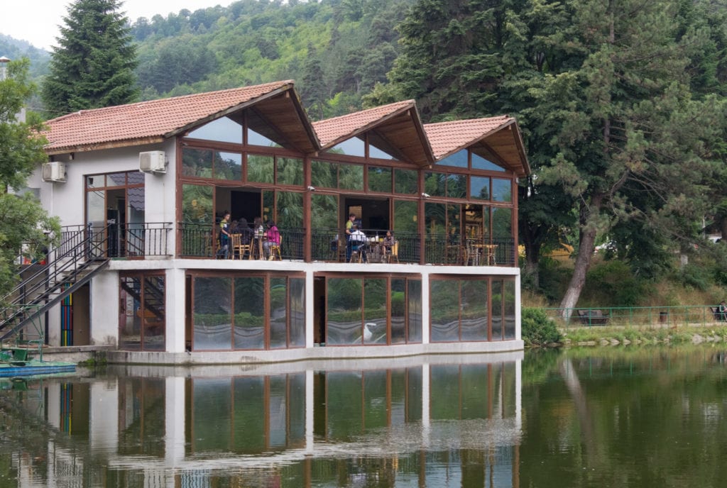 A cafe building in the forest perched on the edge of a lake, like it's rising up from it.