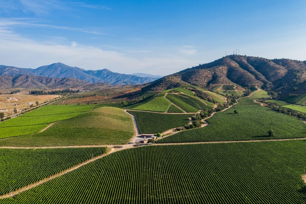An aerial view of a vineyard with bright green, fine rows of grapes, leading up a mountain.