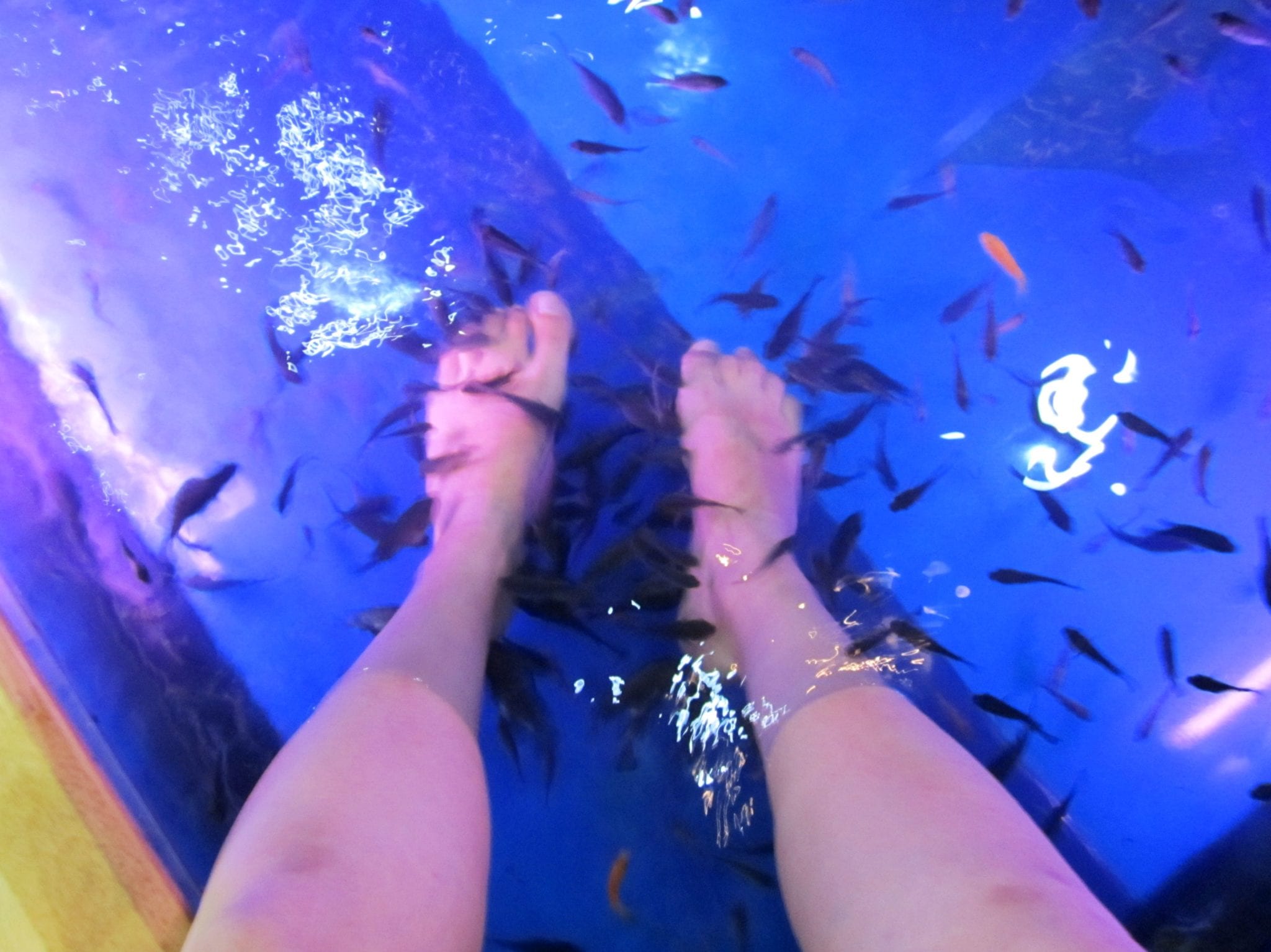 Facing My Phobia at the Fish Spa in Bangkok Adventurous
