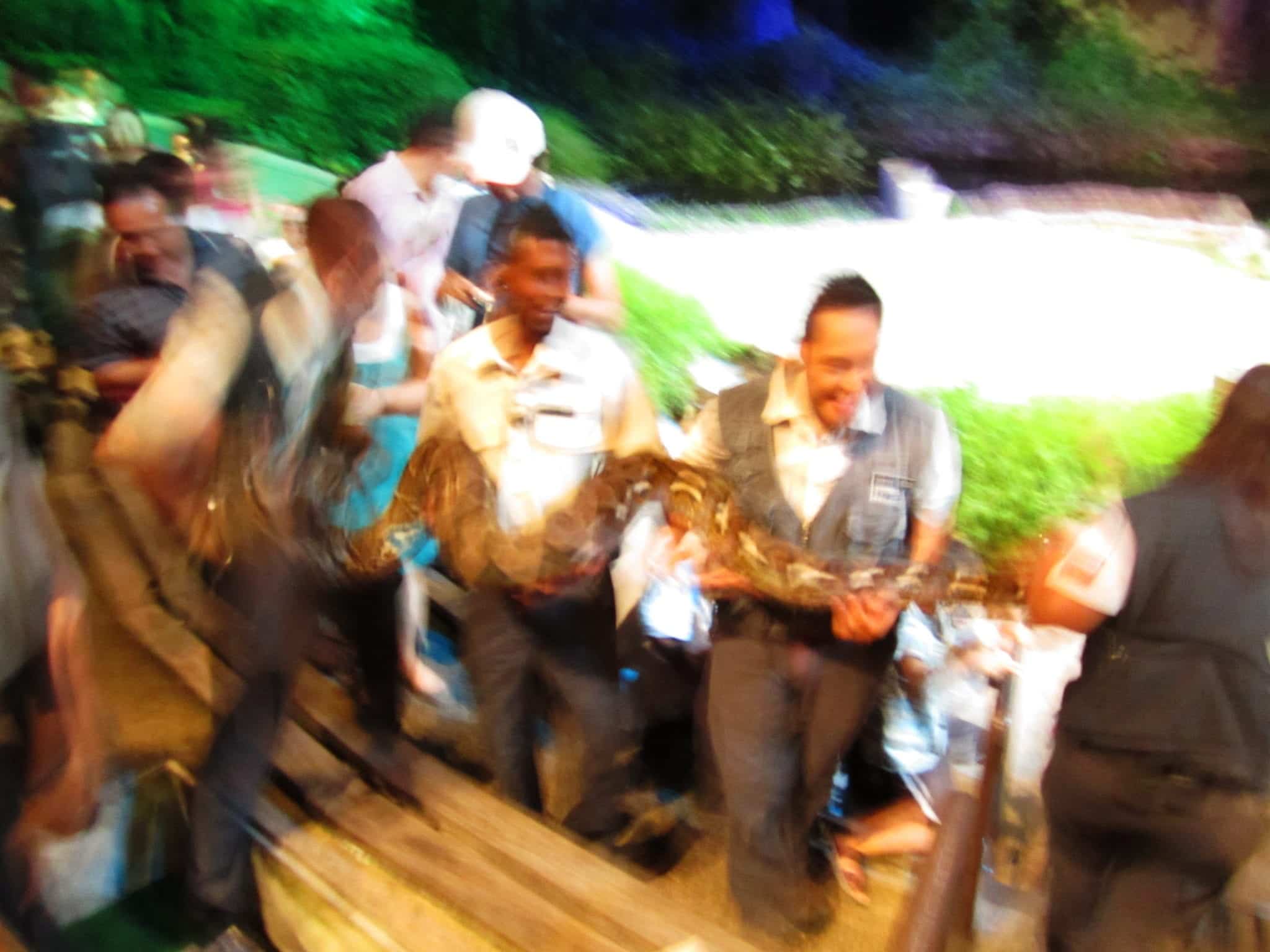 A Night at the Singapore Night Safari - Adventurous Kate A Night at the Singapore Night Safari - Adventurous Kate