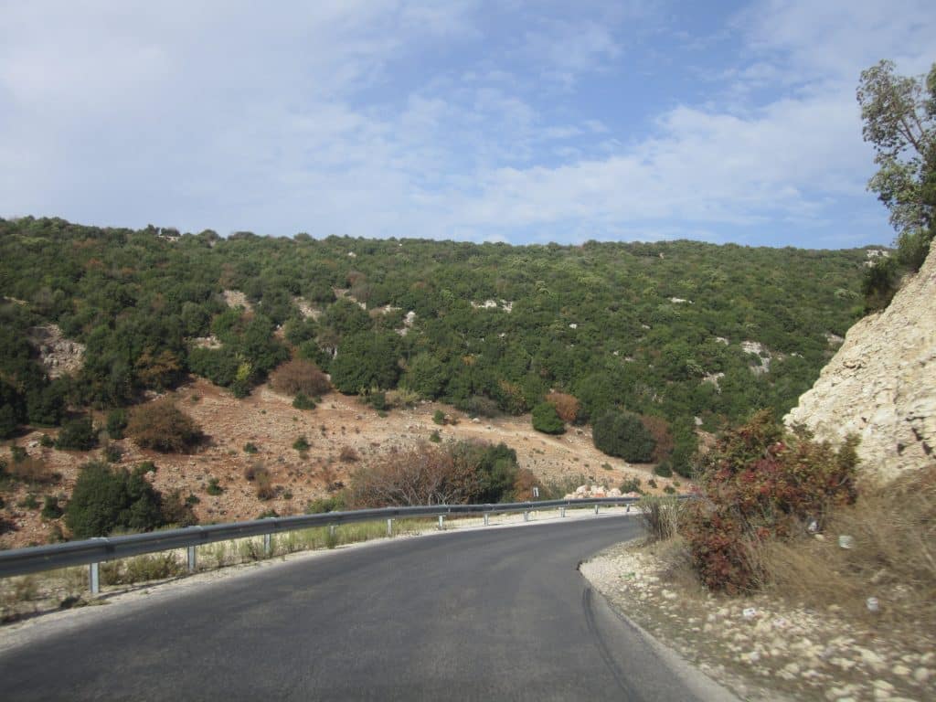 A road winding through a bright green landscape