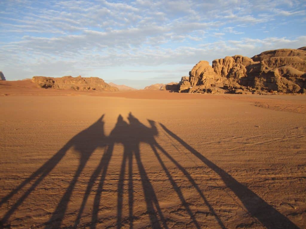 The shadows of three walking camels across a sandy desert.