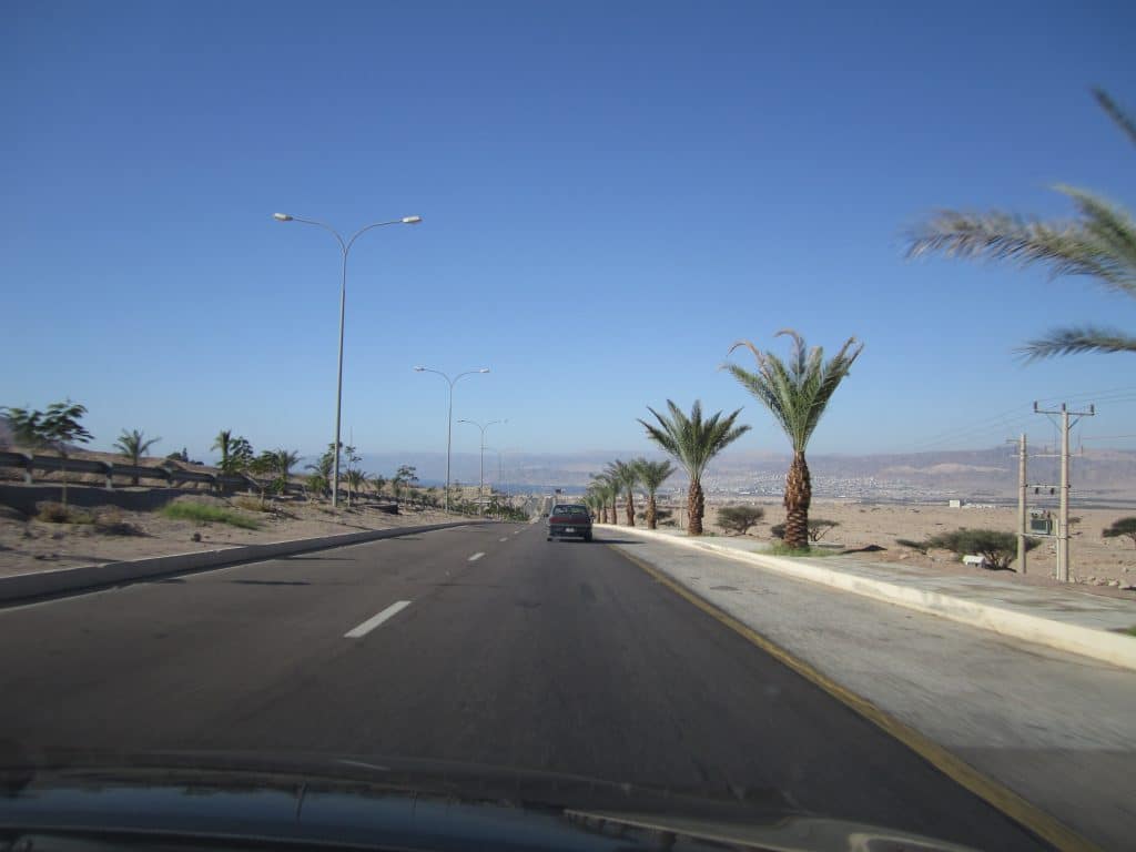 A road driving through a desert with palm trees on the sides of the road