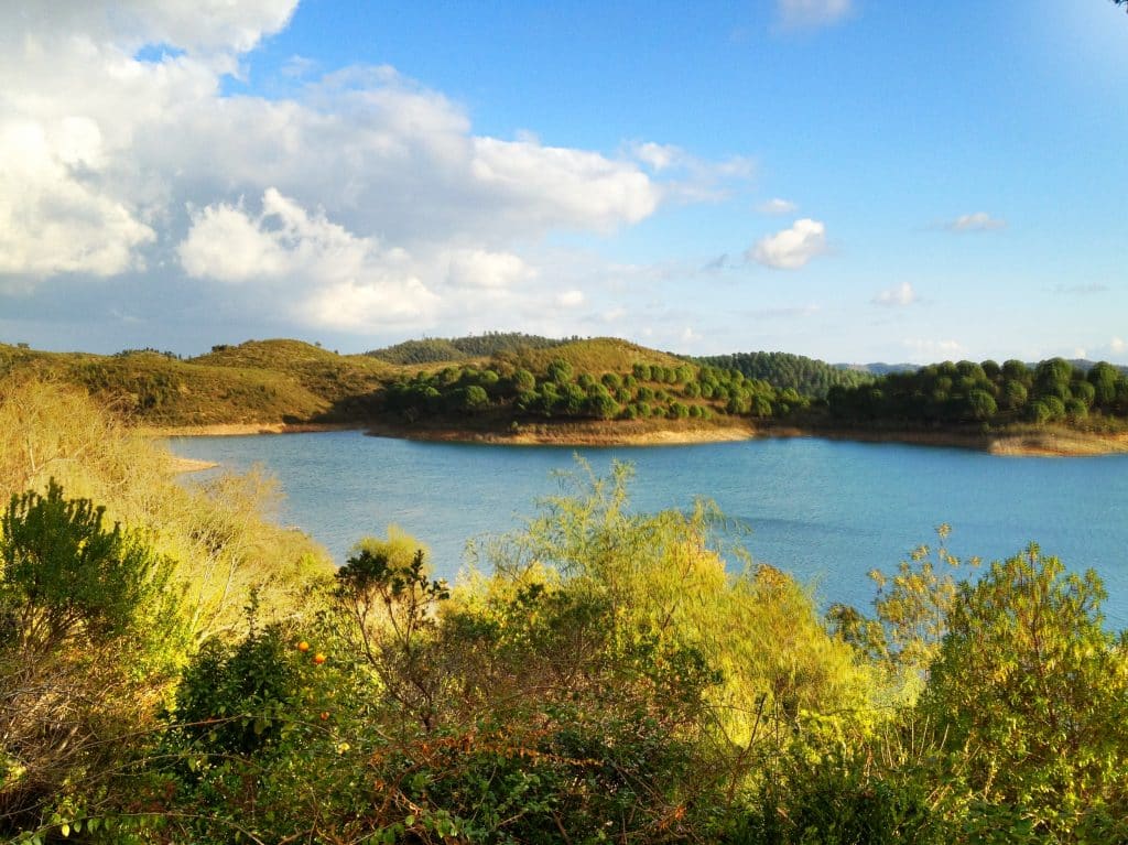 A beautiful bright blue lake surrounded by lush greenery