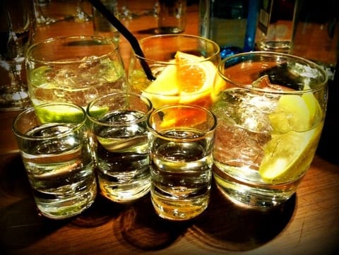 Gin and tonic tasting