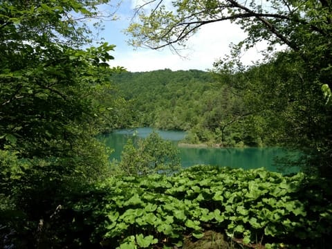 Hello, Plitivice