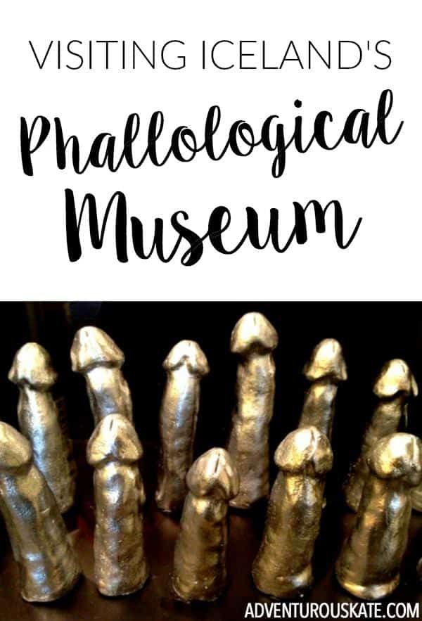 A trip to Iceland's quirky Phallological Museum in Reykjavik