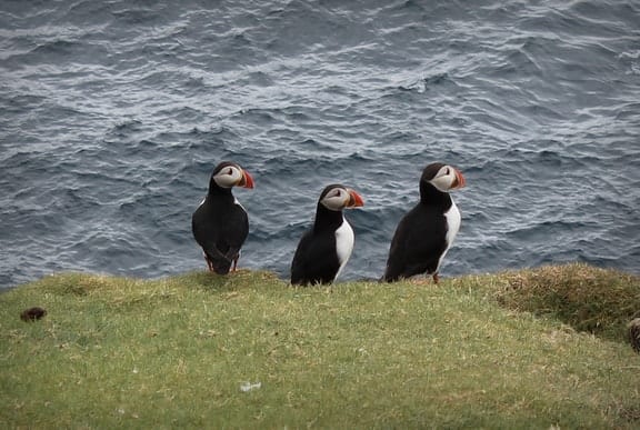 visit faroe islands unspoiled