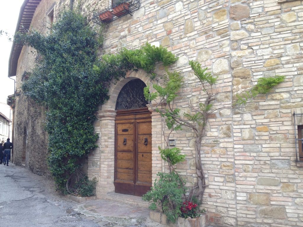 A door to a stone home with greenery growing around it in Italy