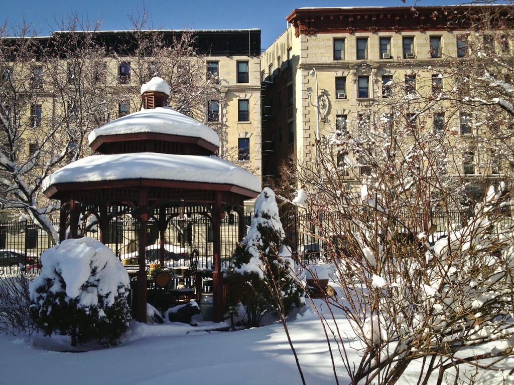 Convent Garden in the Snow