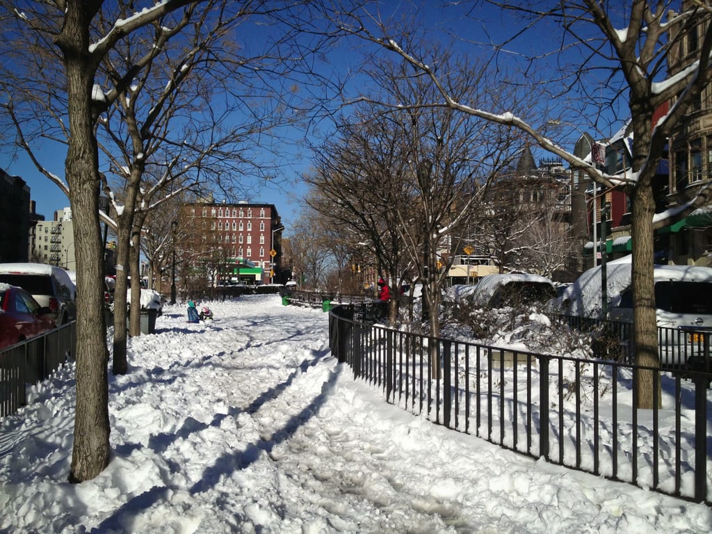 Snowy Harlem