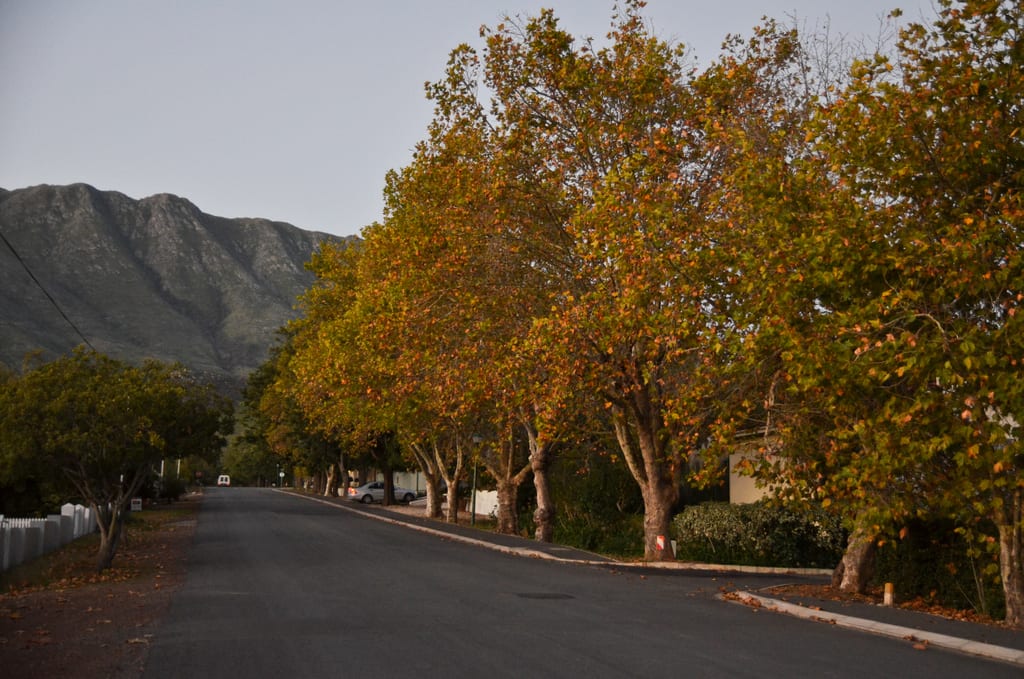 Autumn in Swellendam