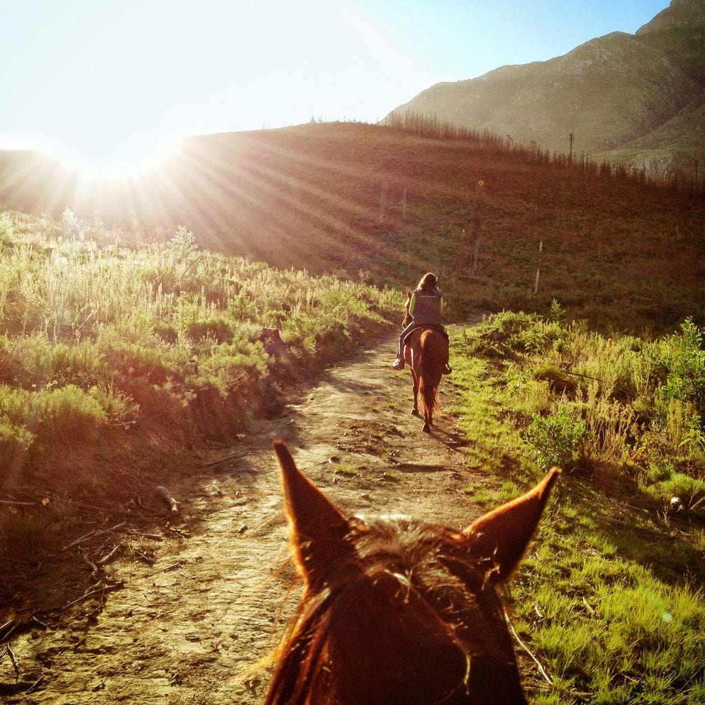 Horseback Riding in Swellendam