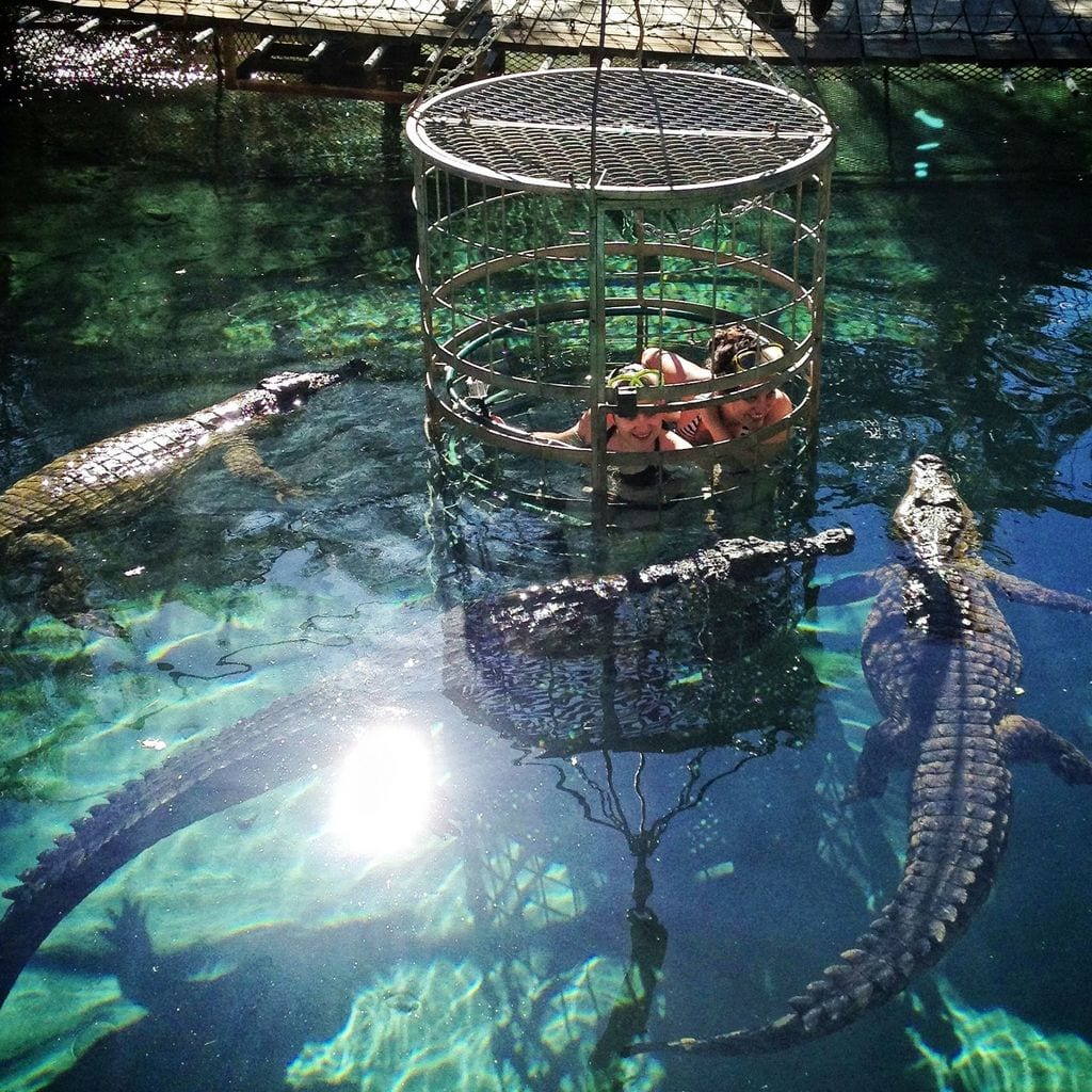 Kate and Nadine Croc Diving