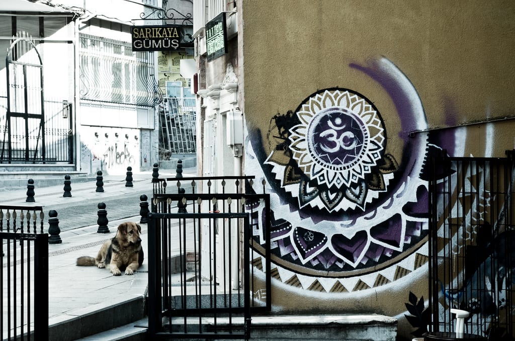 Kadikoy Dog and Graffiti