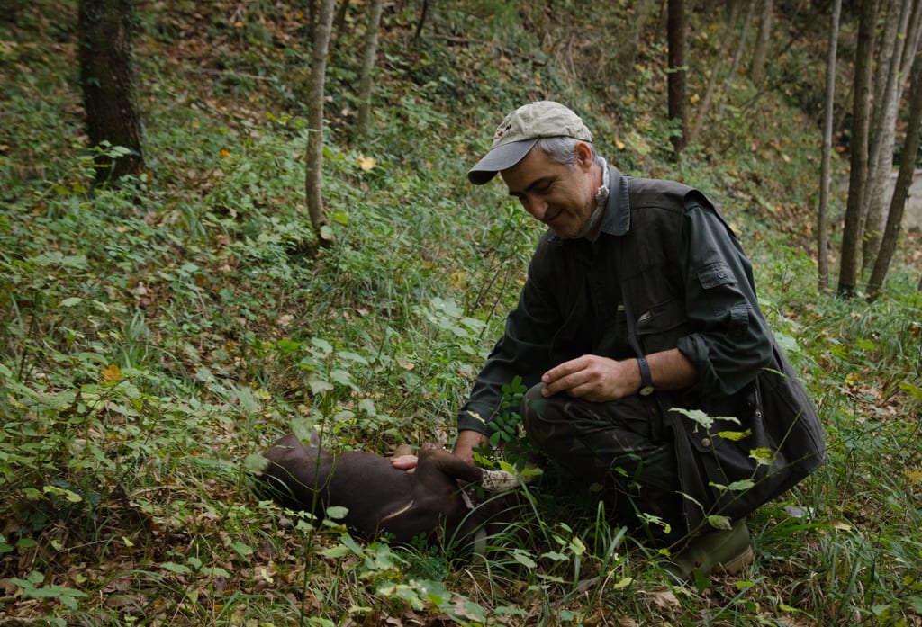 A man holding a truffle, crouched next to a medium-sized black dog in the forest.