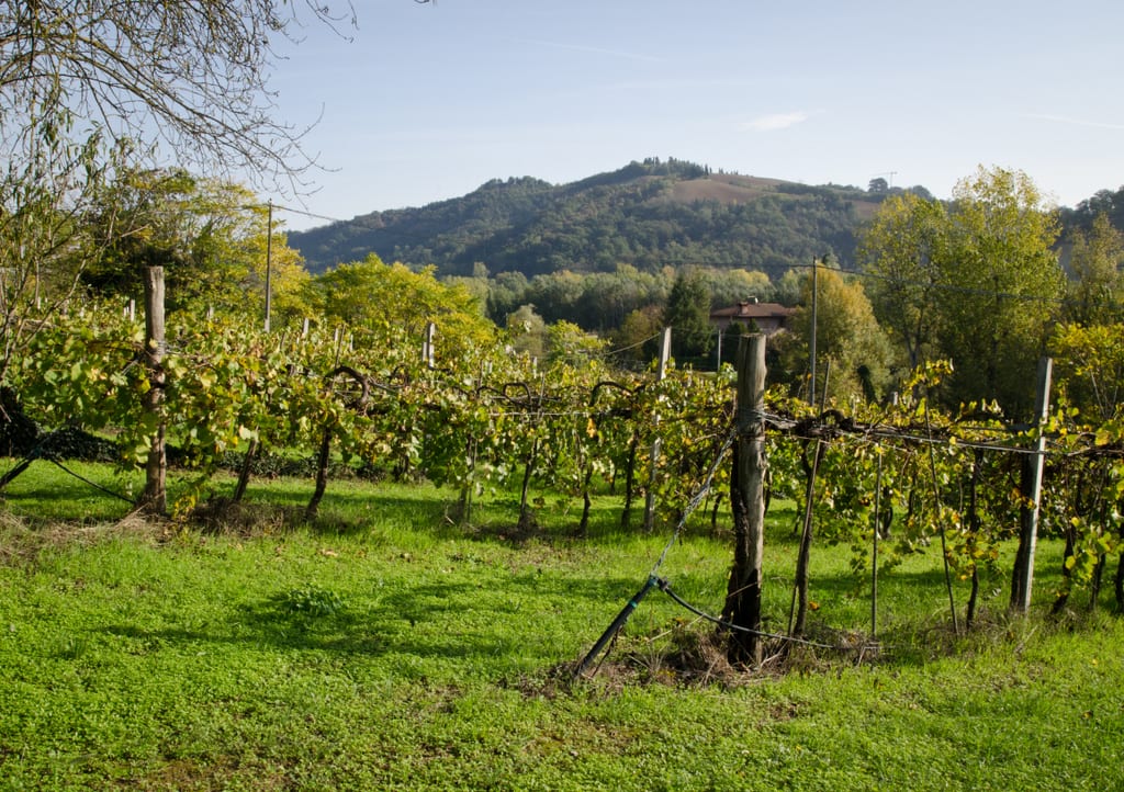 Isola del Sasso Countryside