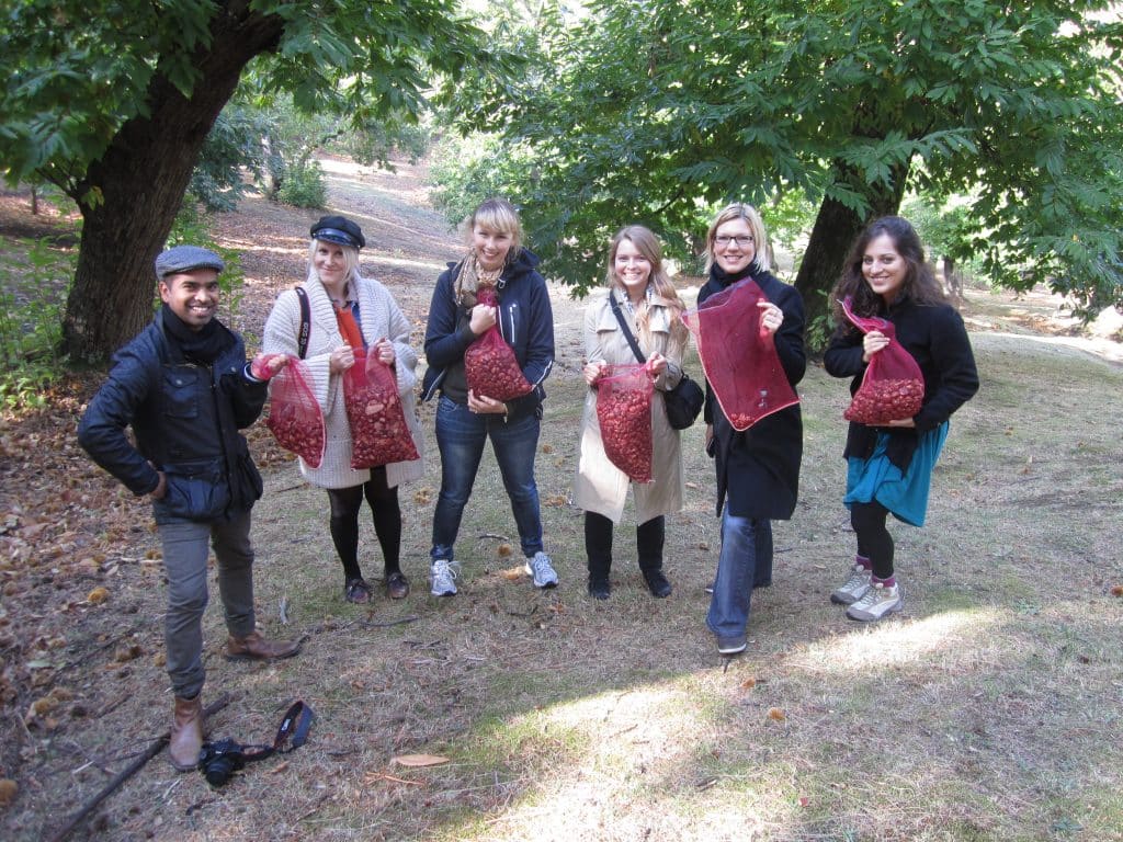 A group of friends holding netted bags full of chestnuts they gathered.