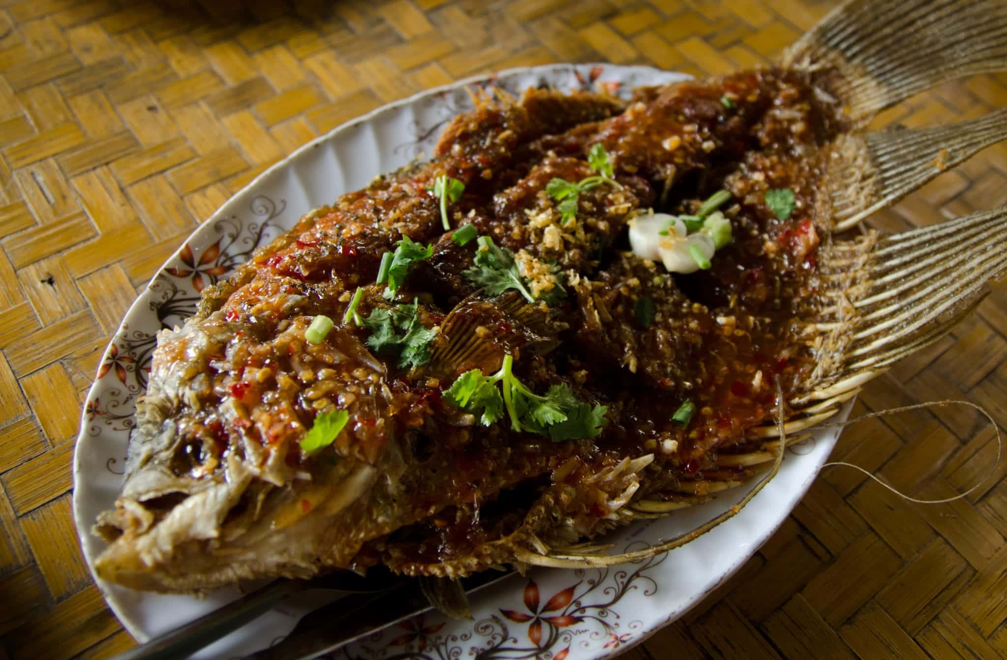 Khao Sok Fish