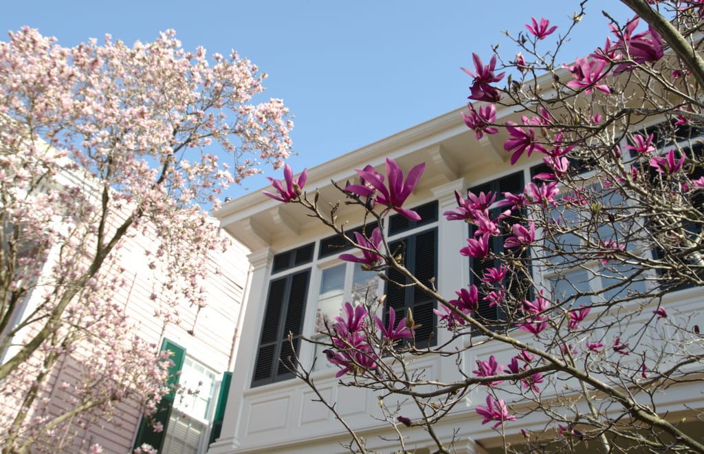 Garden District New Orleans