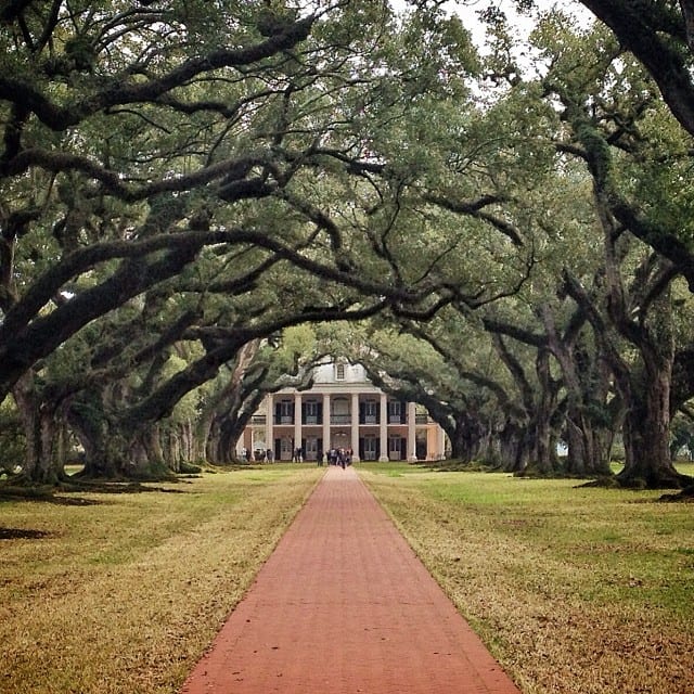 Oak Alley Plantation