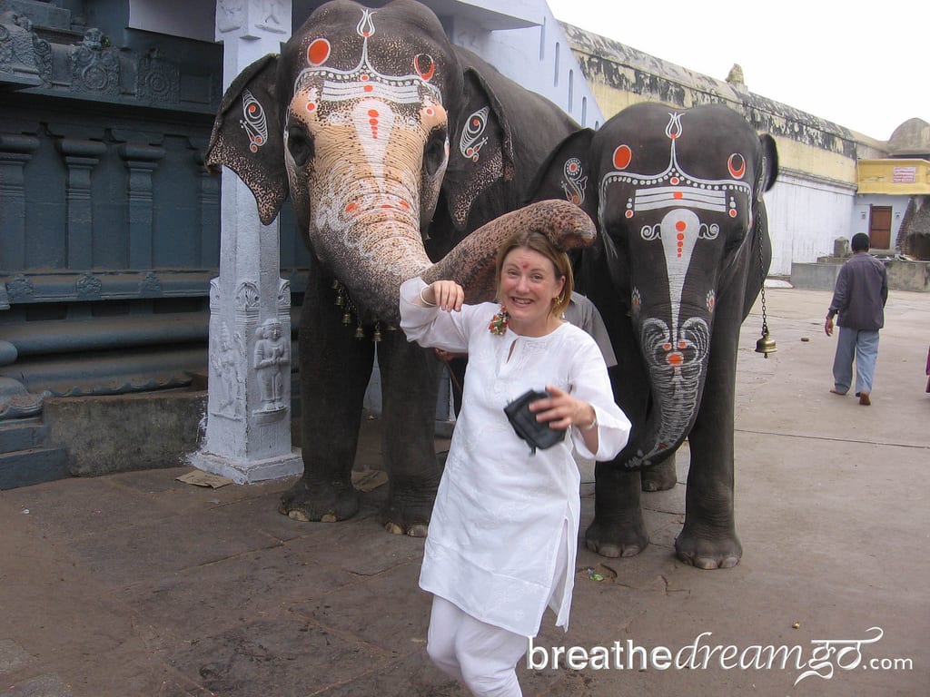 Mariellen, Elephant Blessing