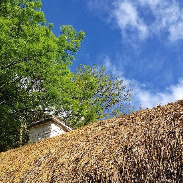 Bunratty Village Thatched Roof