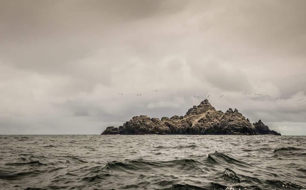 Small Skellig in the distance: an entirely gray and rocky, pointy island, surrounded by birds.