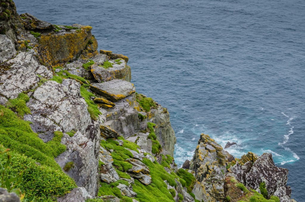 Jagged rocks, many covered with yellow plants and green moss, in front of the dark blue ocean.