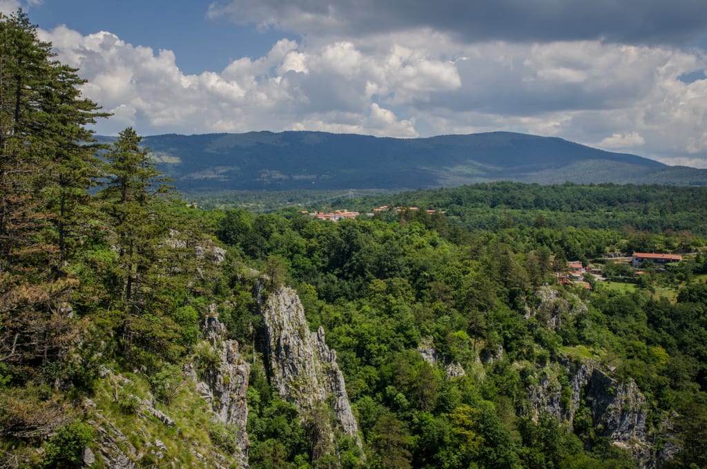 Slovenia Countryside