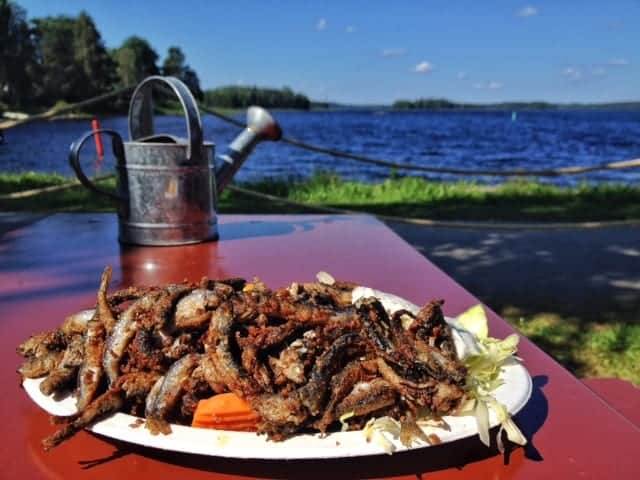 Fish Lunch in Kuhmo