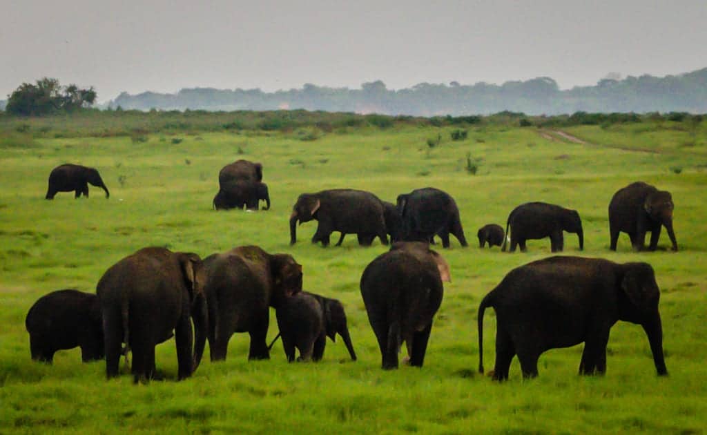 Kaudalla National Park