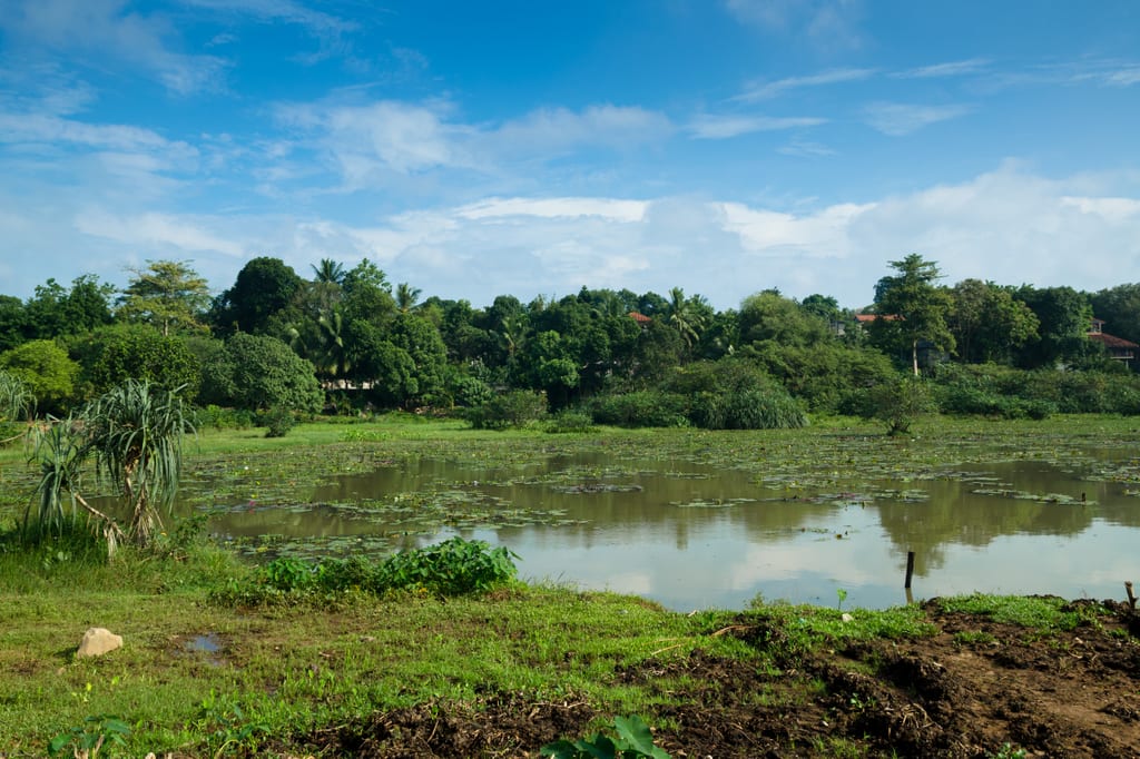 Colombo: to Love an Unlovable City - Adventurous Kate