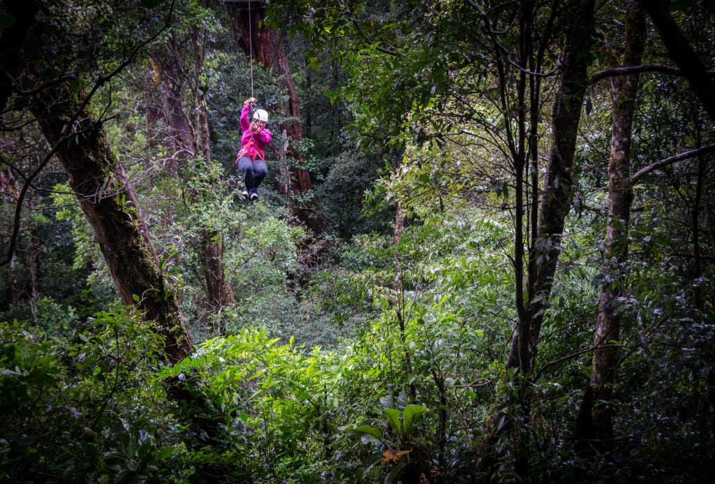 Kate zip lining through the rainforest.