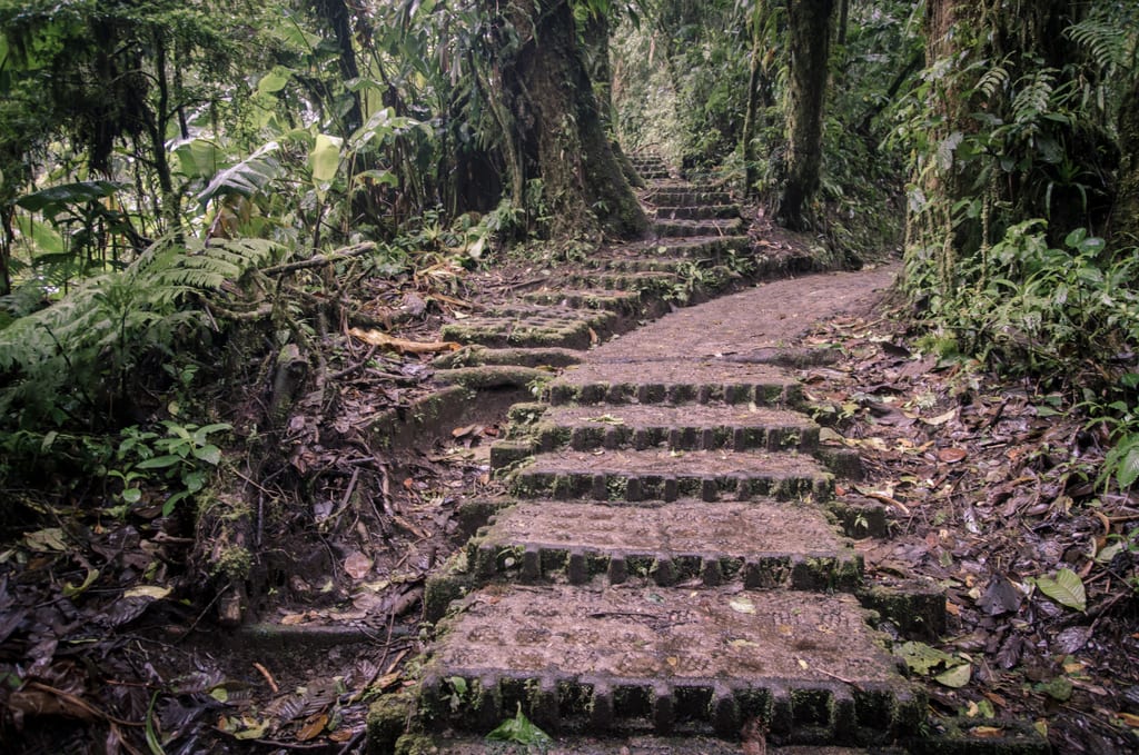 Monteverde Hanging Bridges