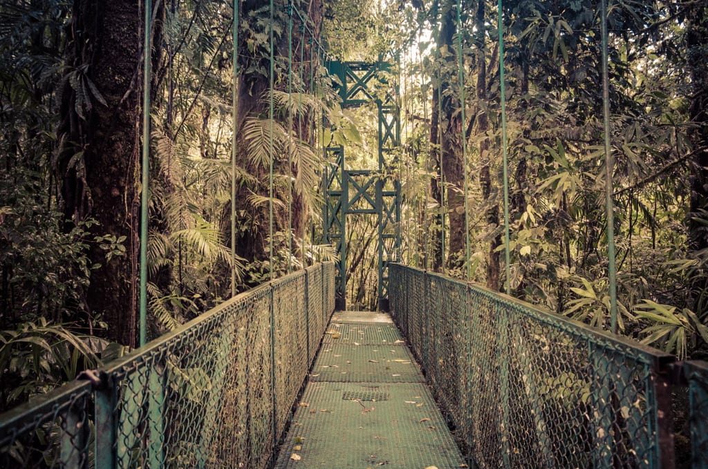 Monteverde Cloud Forest