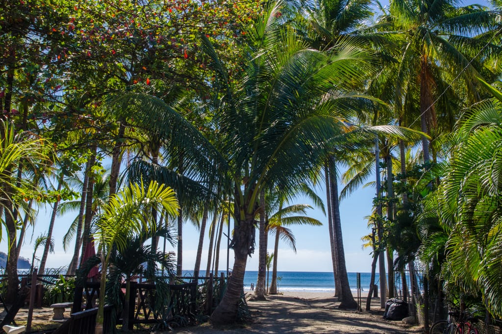 Playa Samara