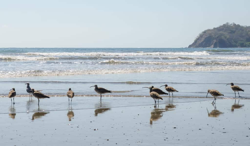 Playa Samara