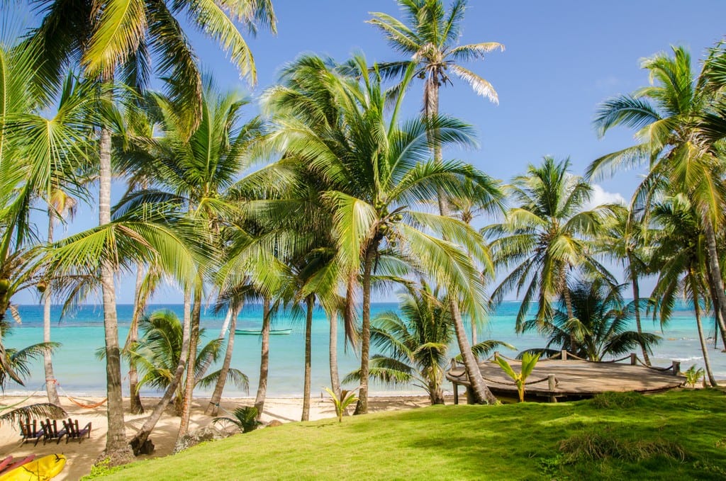 Palm trees in front of the Caribbean Sea in Little Corn Island