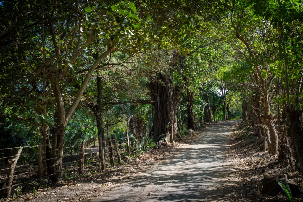Road to Ojo de Agua Ometepe