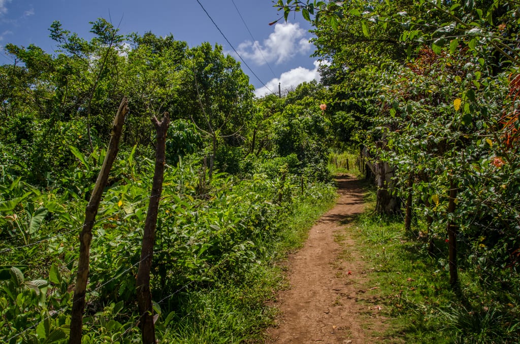 Path to Yemaya