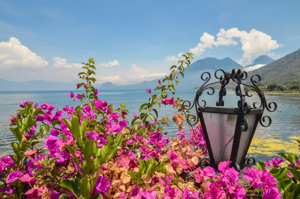 Bright pink flowers and an iron lantern overlooking the lake.