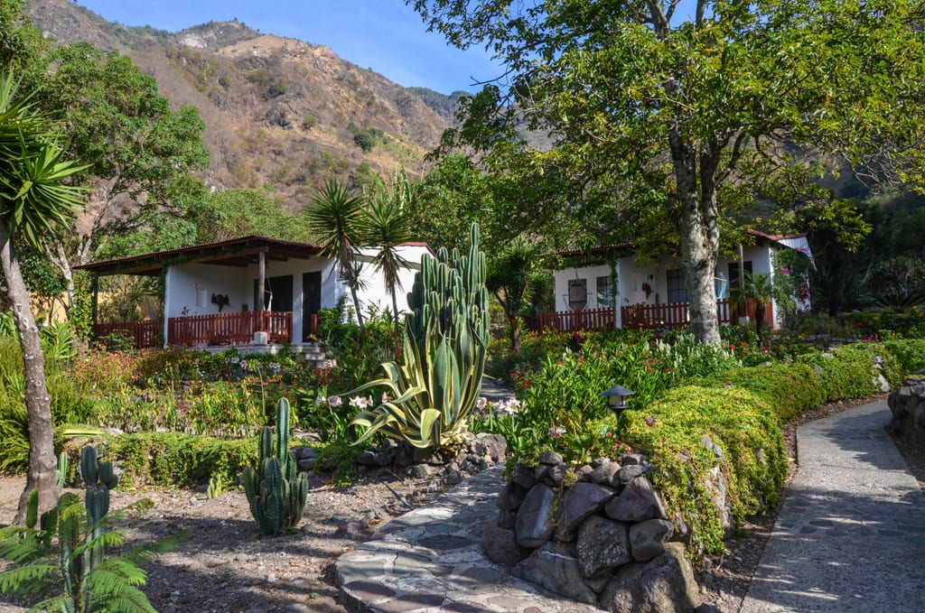 A luxury hotel with white and dark brown cabanas, surrounded by cacti and lots of wild plants.