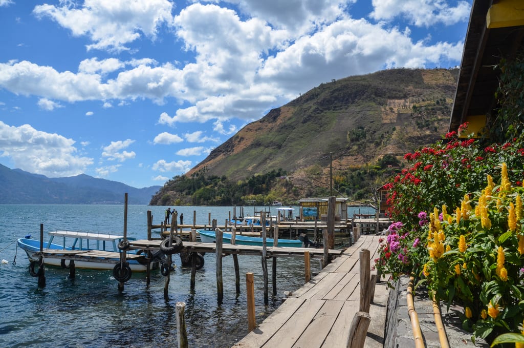 Boats moored on a wooden dock next to several flowering shrubs.