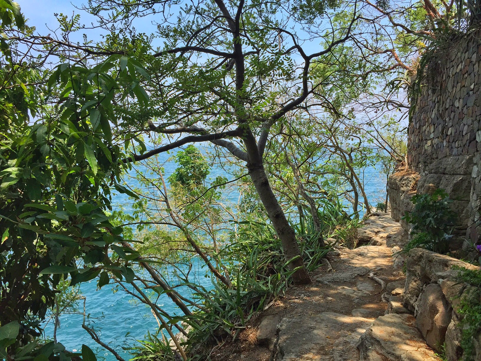 A dirt pathway along the edge of a cliff on a lake.