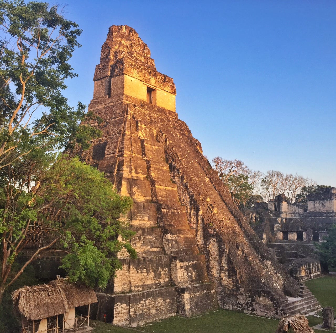 Tikal at Sunset