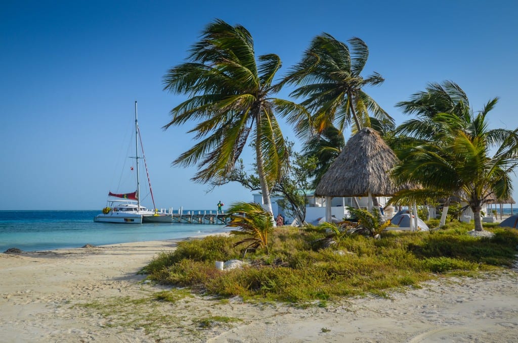 Palm trees on the beach in Belize with a sailboat in the background