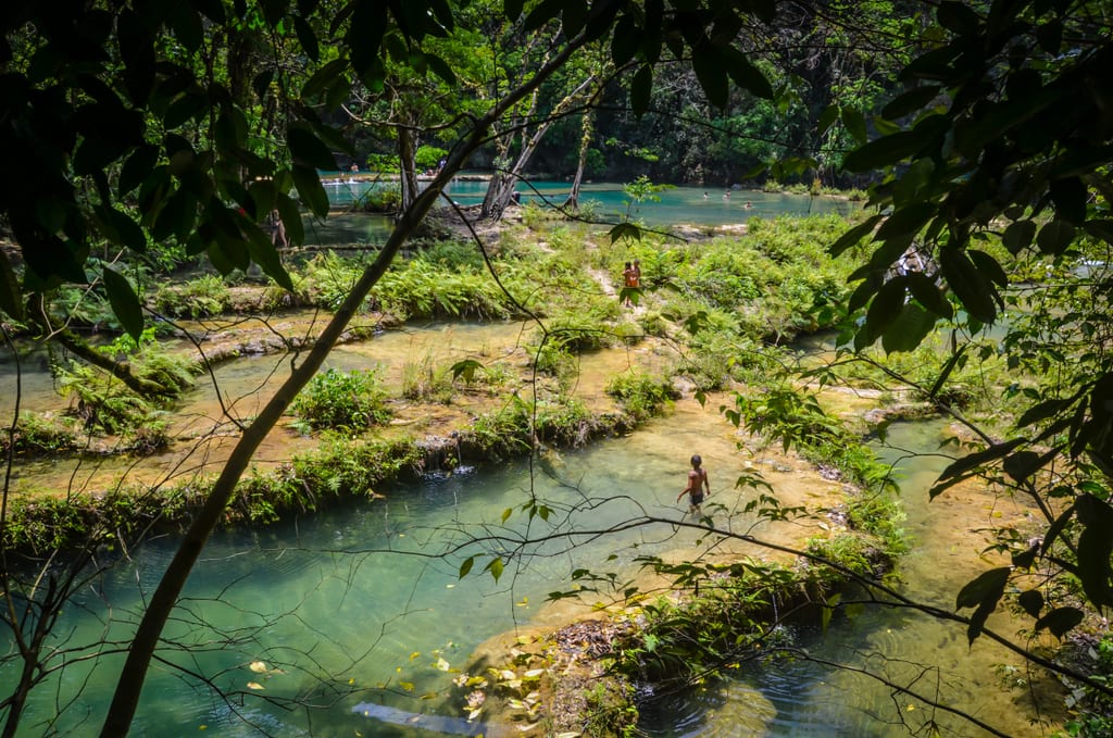 Layers of translucent green lakes covered in thick vegetation.