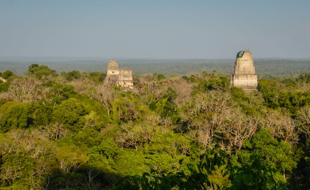 Tikal at Sunset